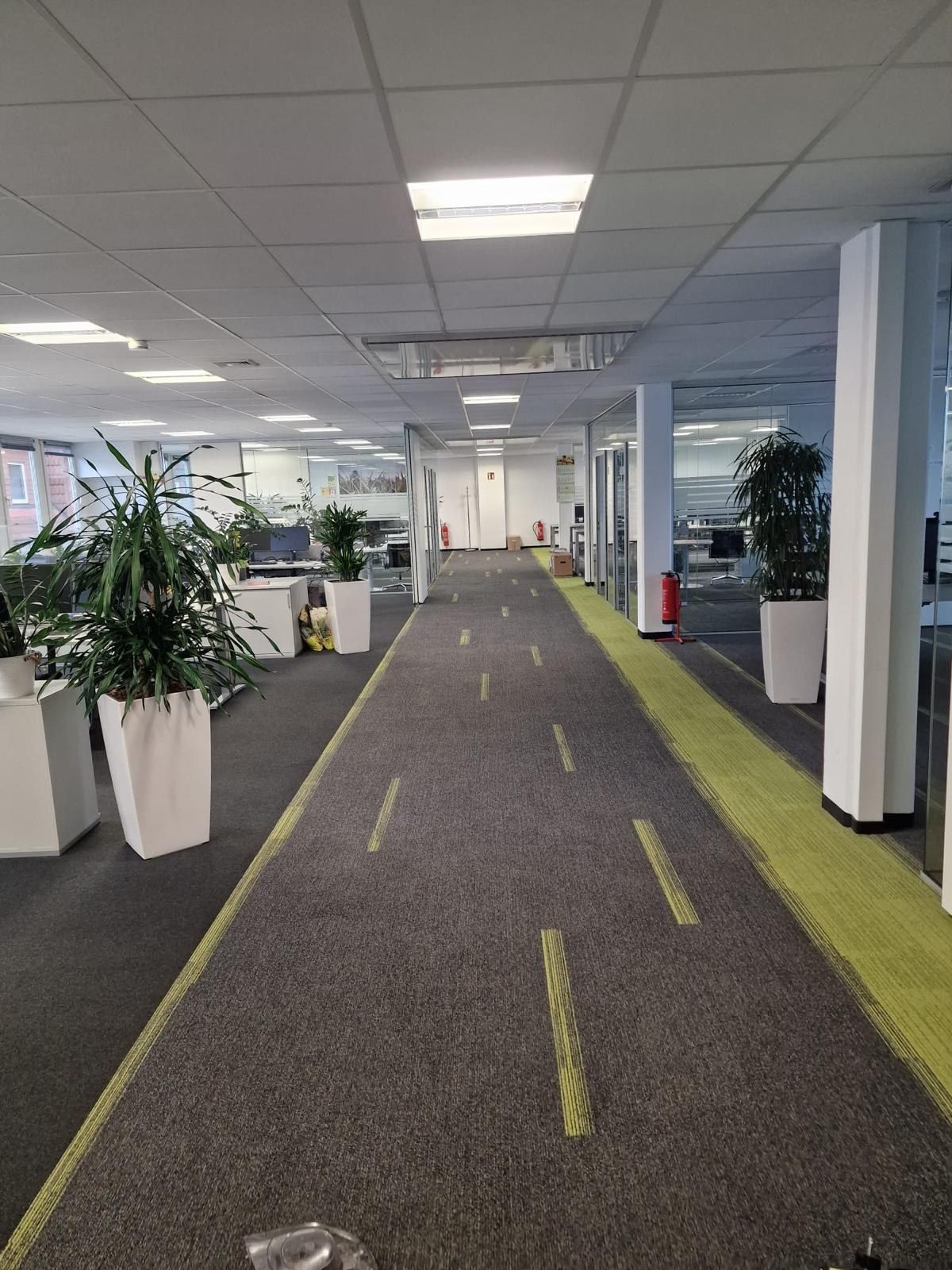 Fertiger Bürogang mit grauen Teppichfliesen und einem grüngelben Streifenband entlang der Glaswände, Pflanzkübel an der Seite, abgehängte Decke mit Leuchtfeldern.